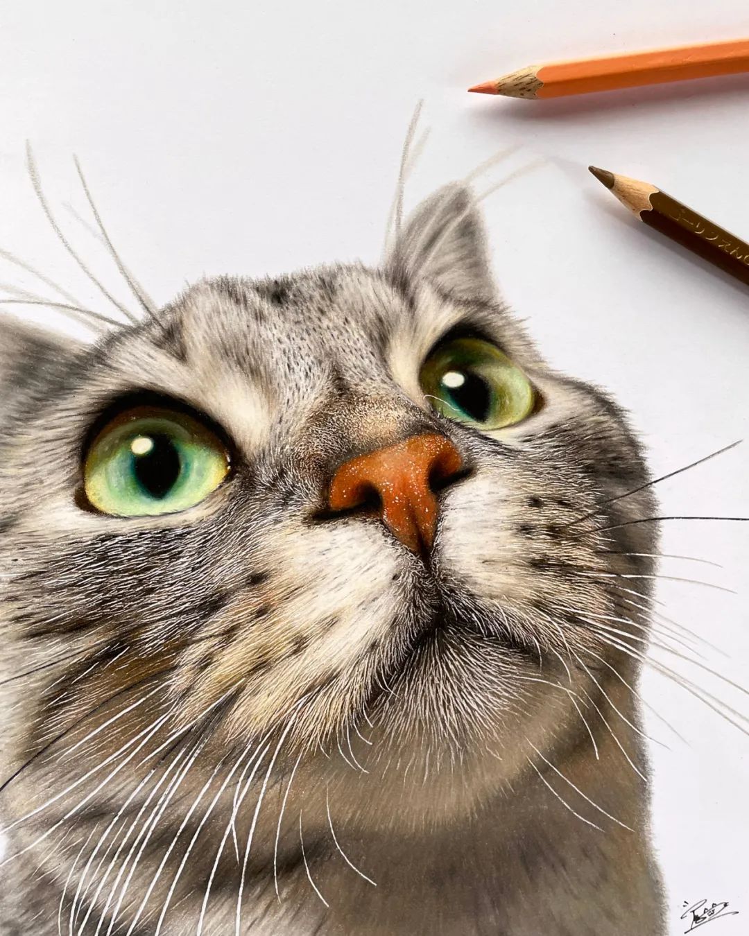 彩铅绘画作品欣赏—色彩鲜艳,笔触细腻的彩铅画,内附教程哦