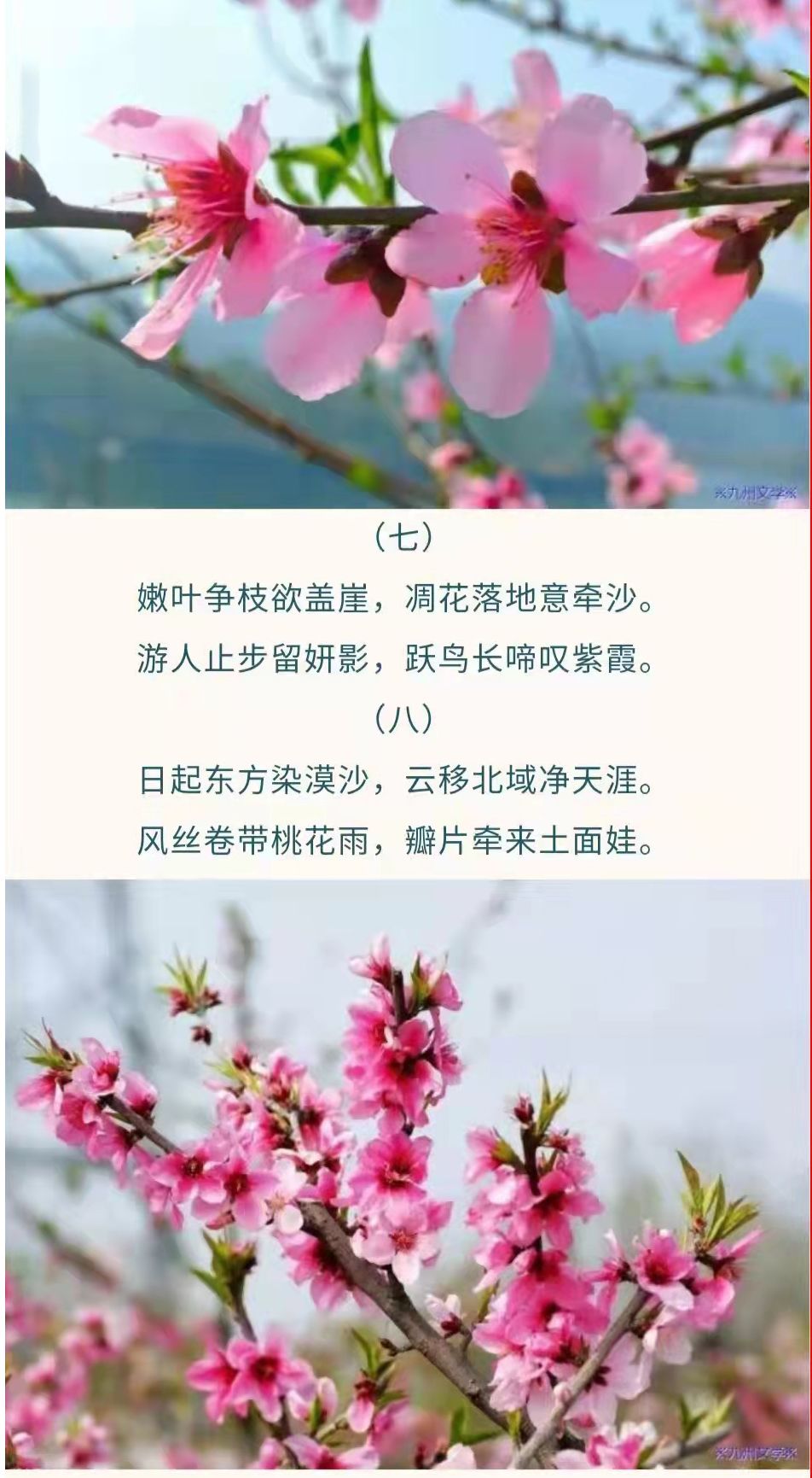 йרⱨɽ