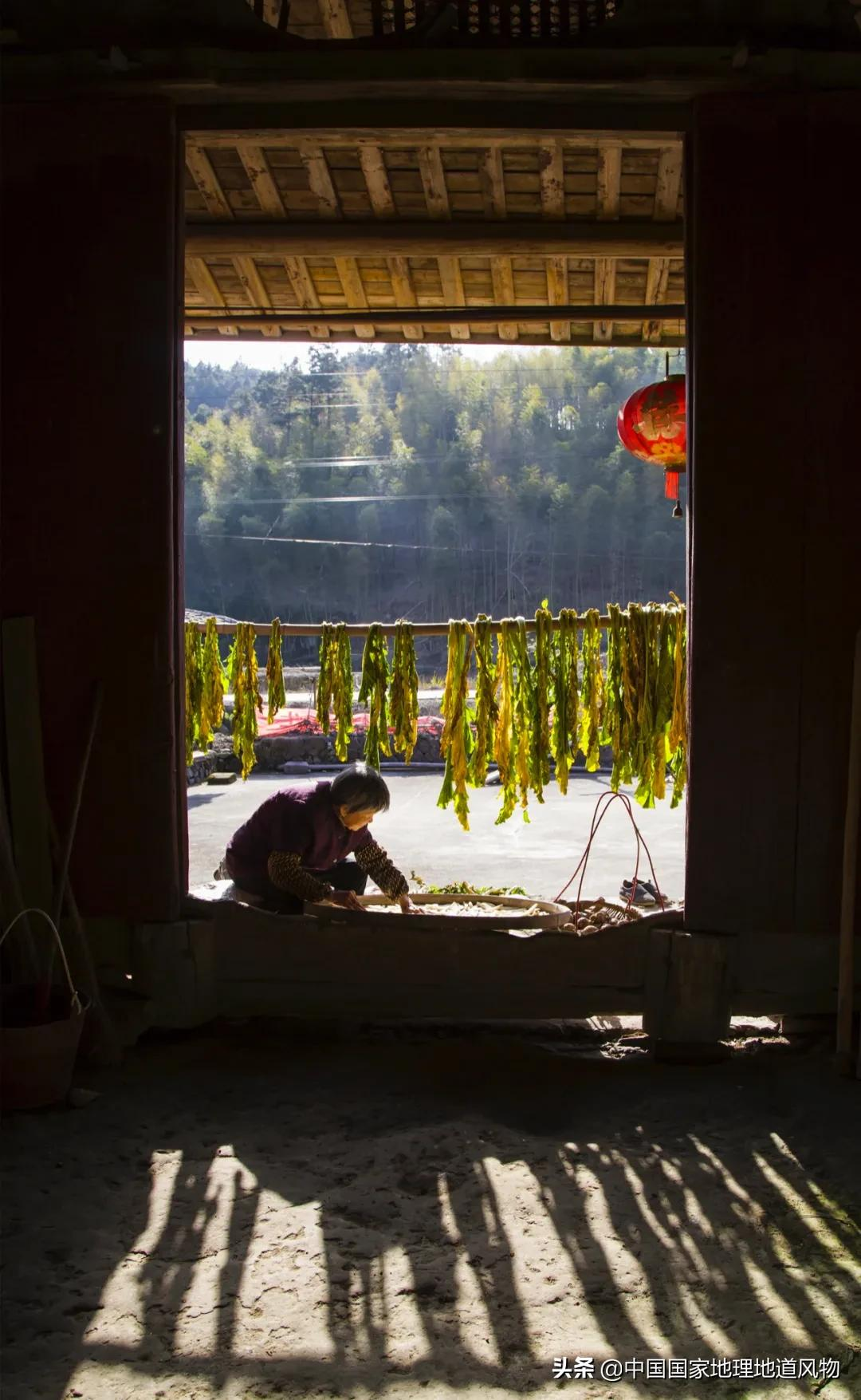 丫霸福州,爱拼泉州,毋惊大田,“上天入海”的福建,有多猛?
