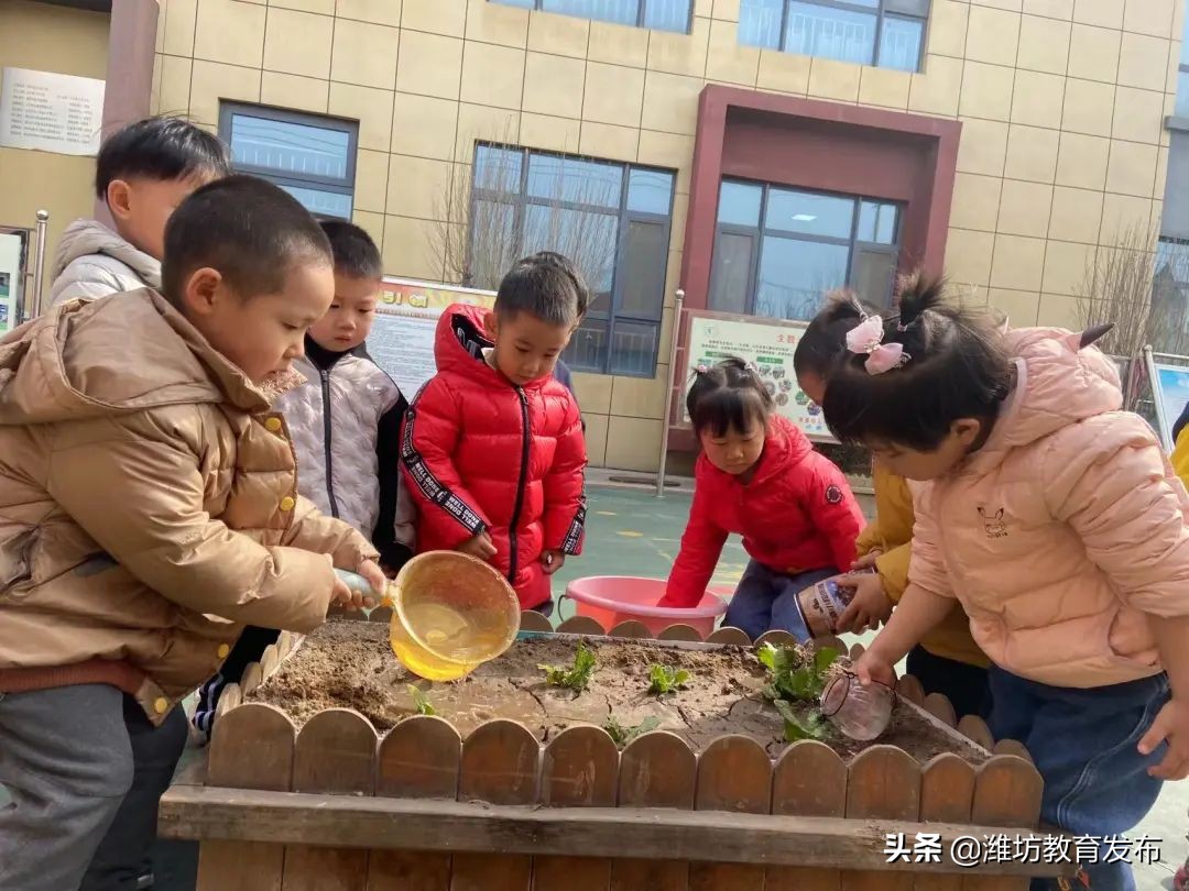 周播报 | 潍坊校园新闻（03.07—03.13）