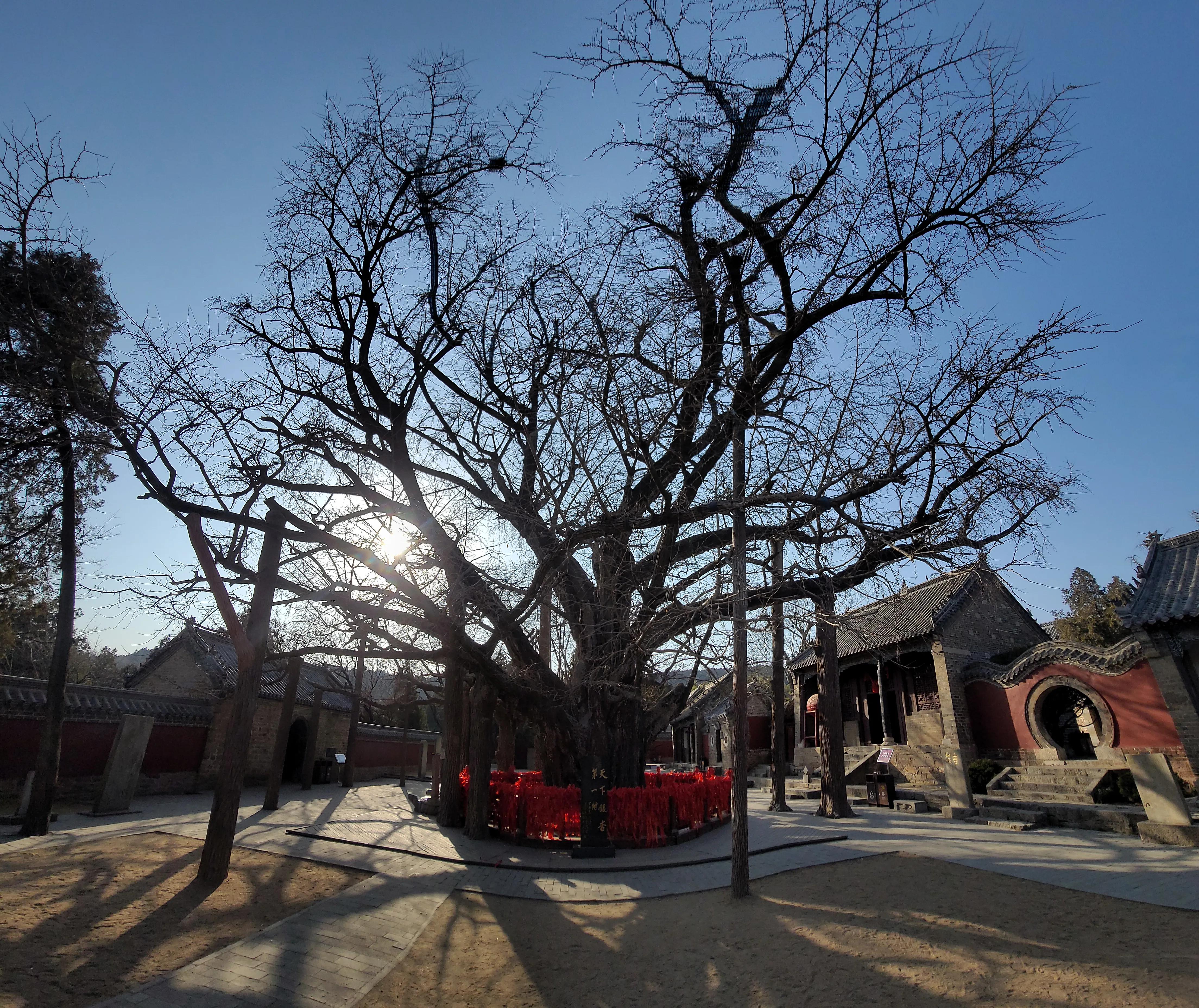山东日照莒县浮来山景区游记