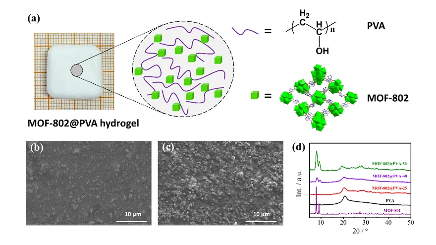 南京工业大学任小明课题组MOFs质子导电材料最新研究进展