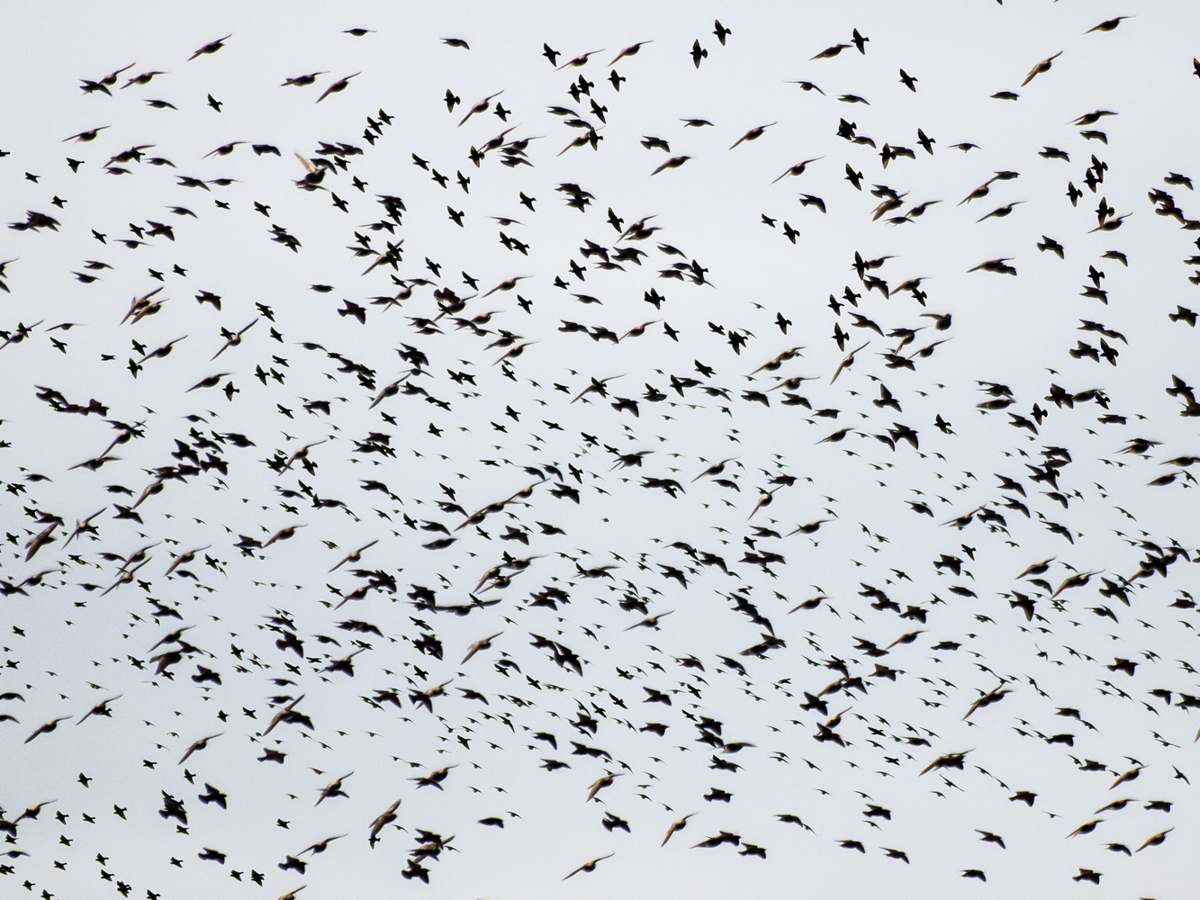 七个高级的关于图片合成技巧