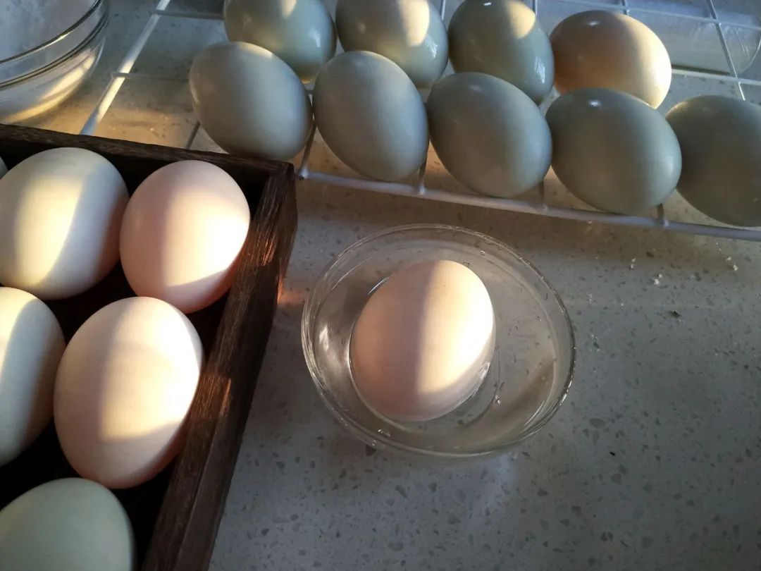 三步咸鸭蛋！沙子里出油还不咸，半个月就可以吃了。