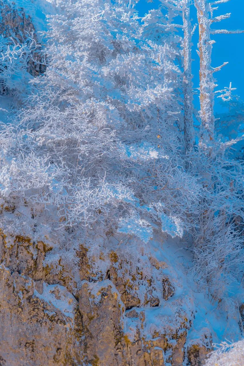 春日是良辰，白雪更添美好，一场春雪“南国雪都”刷屏网络