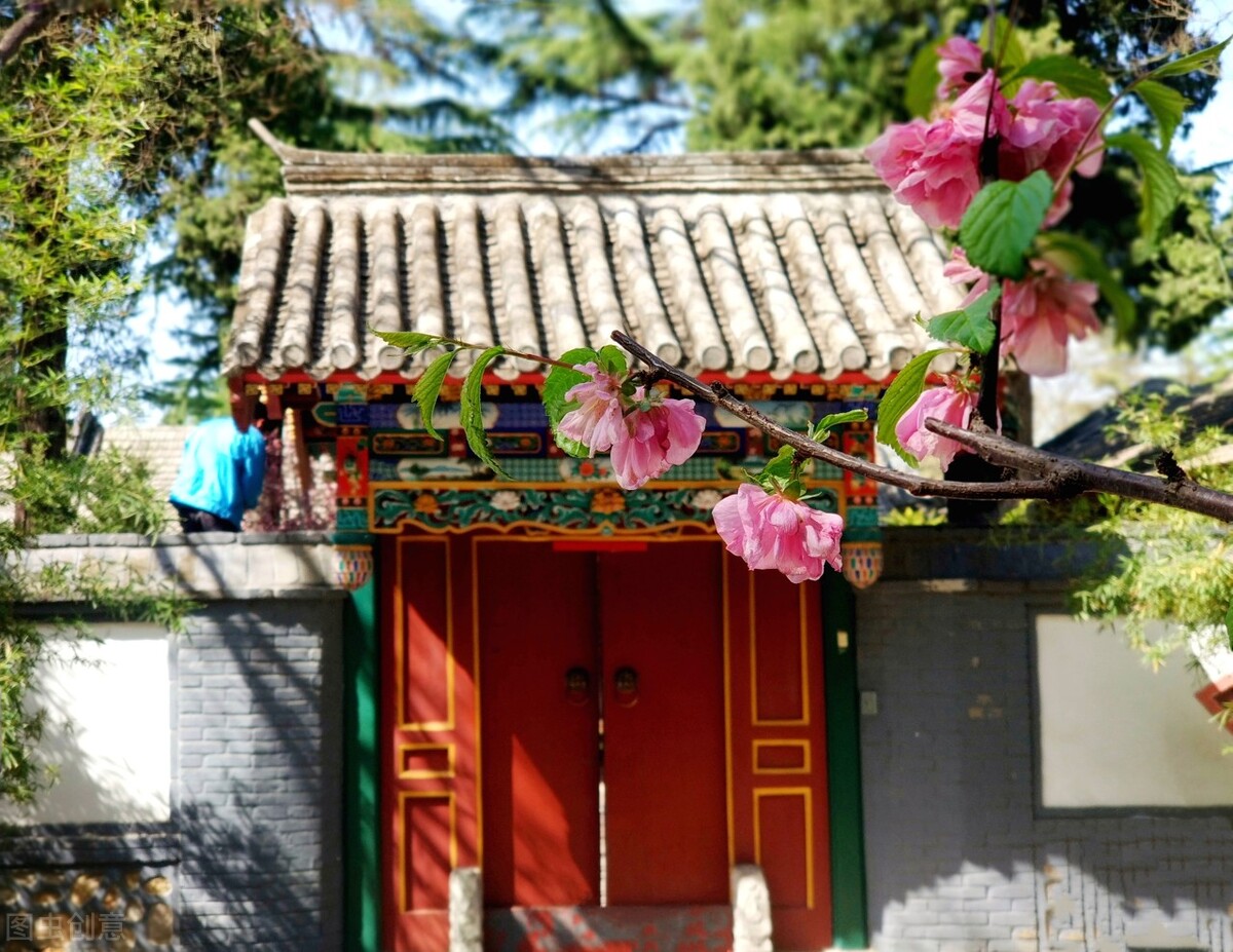 杨绛传—生活不易，保持优雅