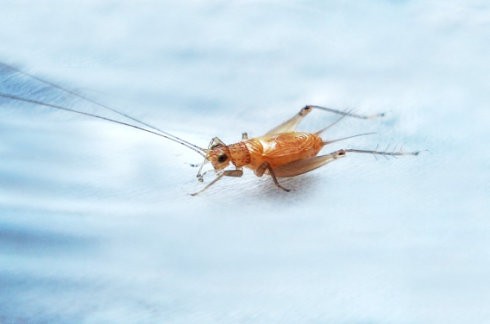 高考写甲骨文，川大破格将他录取，导师却直言：宁愿辞职也不教他