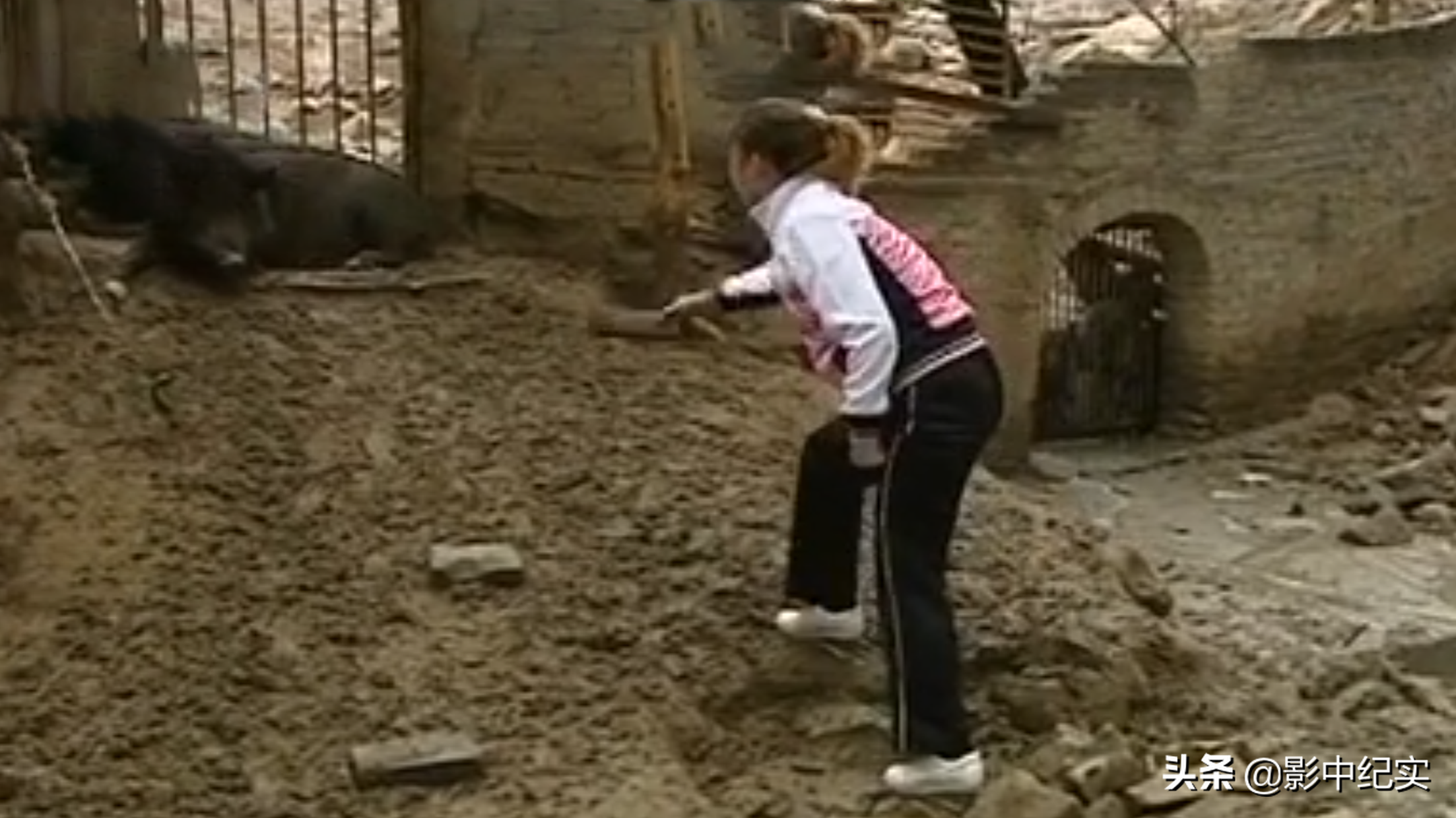 女大学生放弃年薪40万的工作，与野猪同吃同住，10年后年入上亿