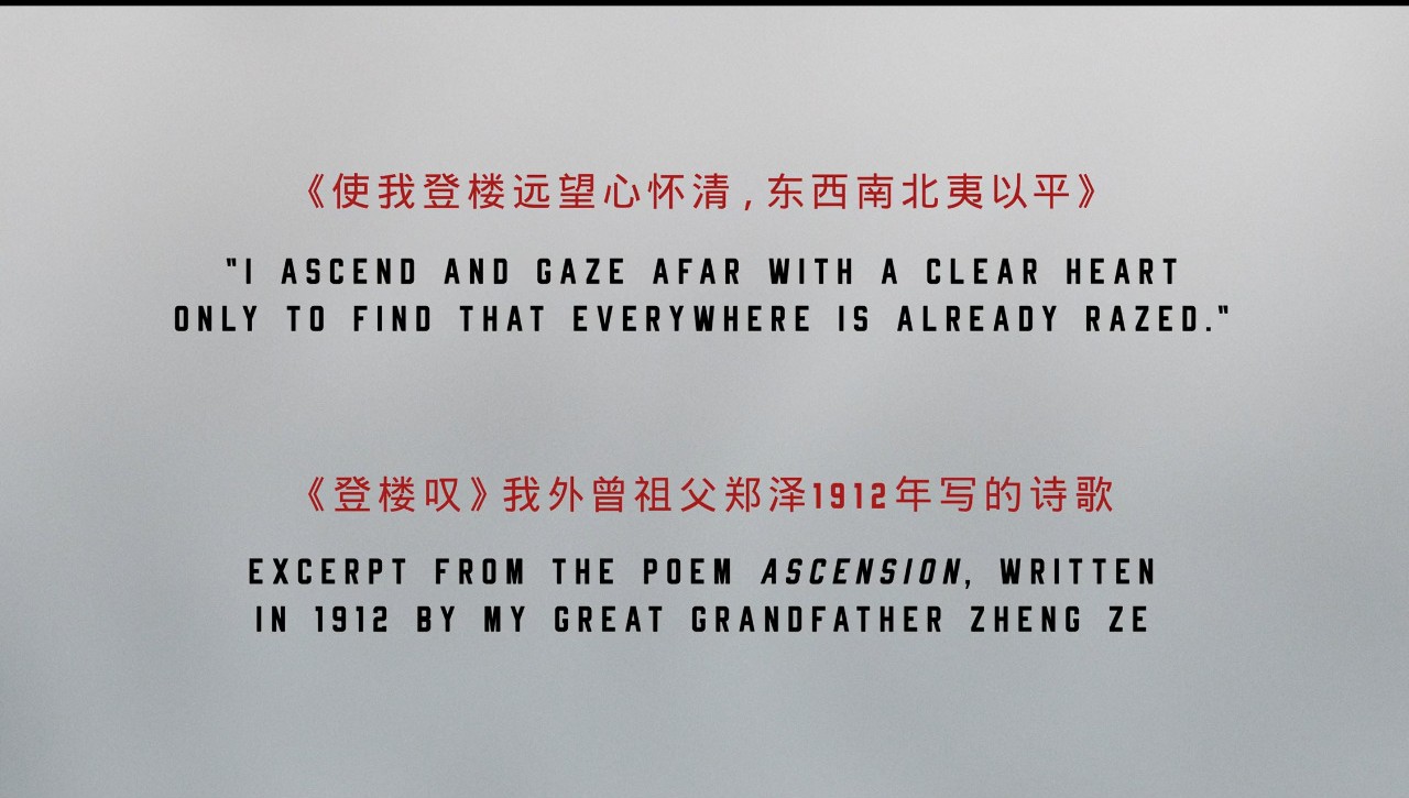 《登楼叹》，奥斯卡提名，关于中国式生存的纪录片
