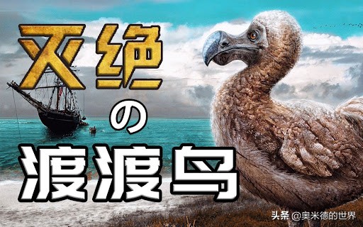 十种因人类活动而灭绝的动物，再见“长江女神”白鳍豚