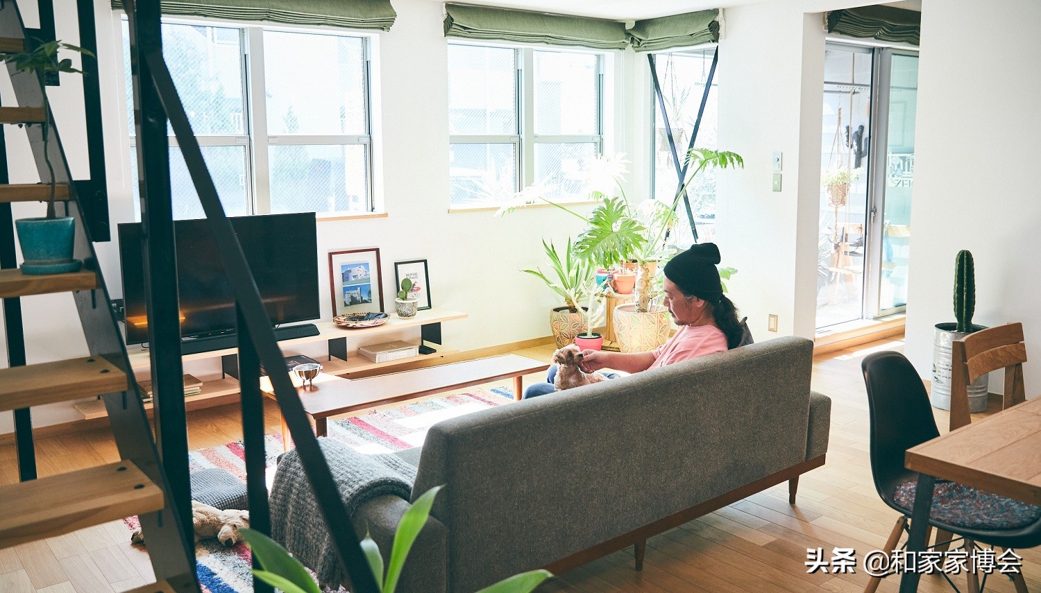 绿色植物助力“邻里关系”| 美式风格的老房翻新装修