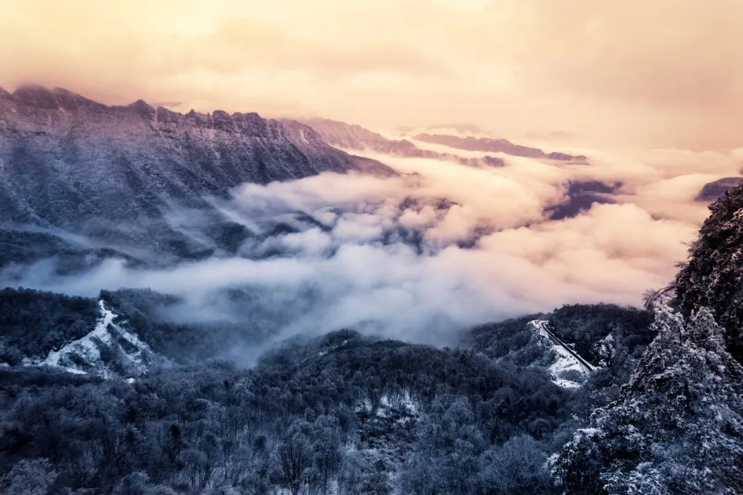 春日是良辰，白雪更添美好，一场春雪“南国雪都”刷屏网络