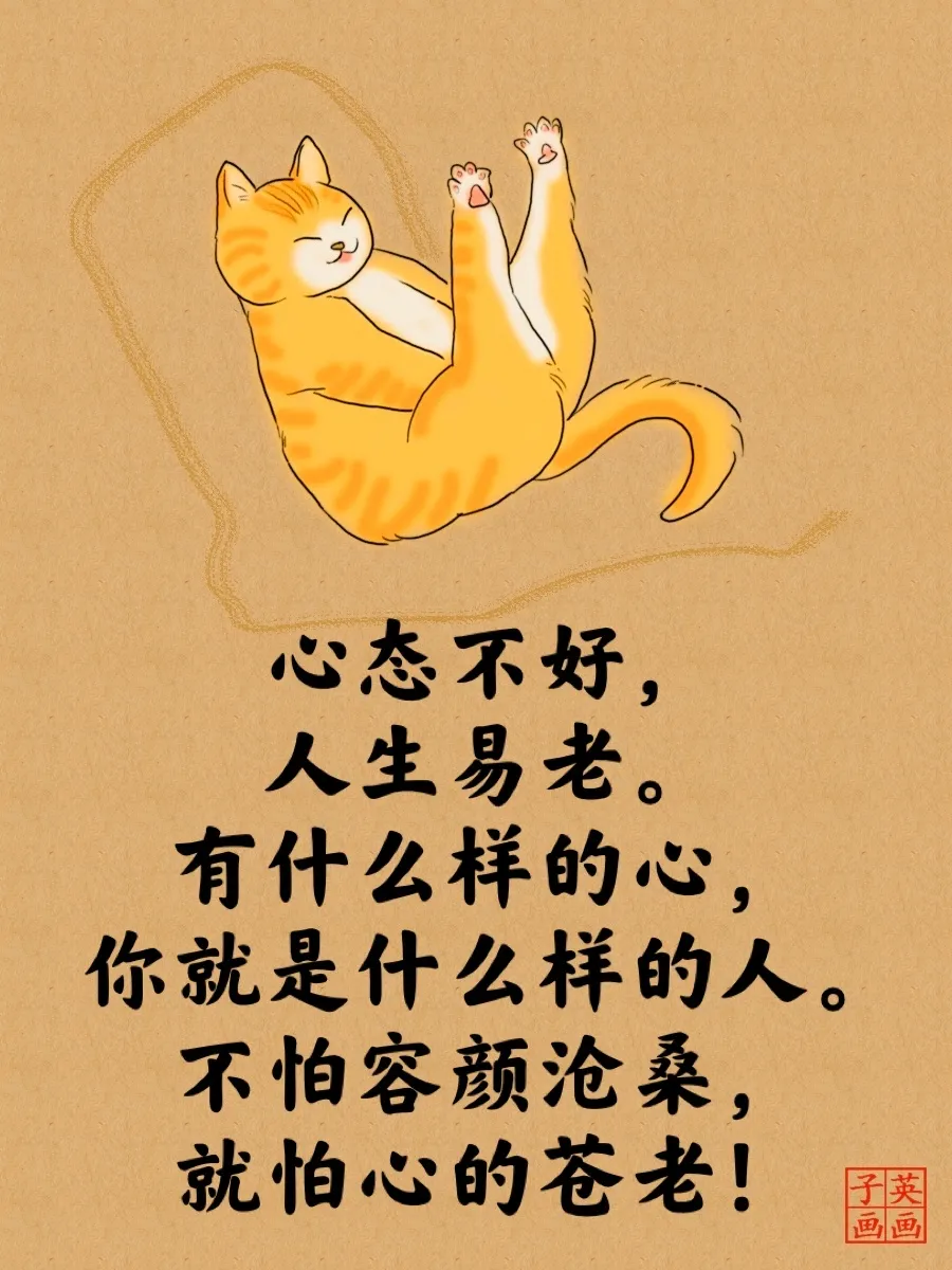 2022经典睿智的猫言猫语人生哲理大全