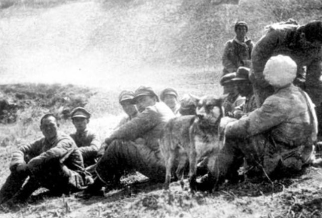 科普：軍區和戰區有何區別？七大軍區為何要改為五大戰區？