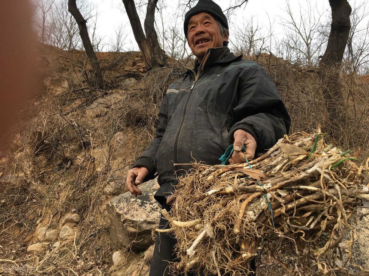 每年100的农村新农保，还有人不愿交？老农民说了三句话，太现实