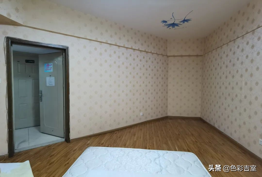 「1000套旧房改造」她的房子最接近女生的理想型，软装及配色好美