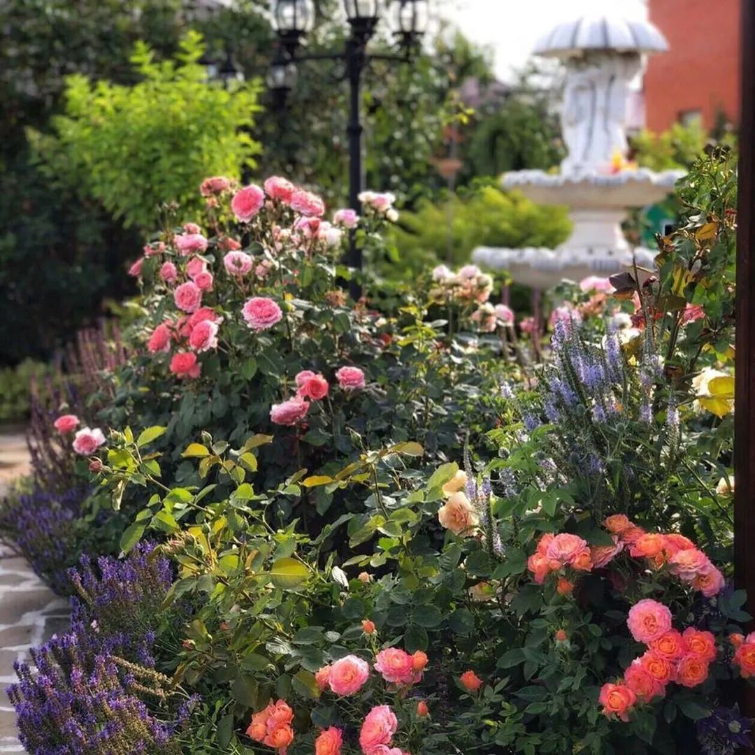 25种花境设计，让生活更美好，你最喜欢哪种？