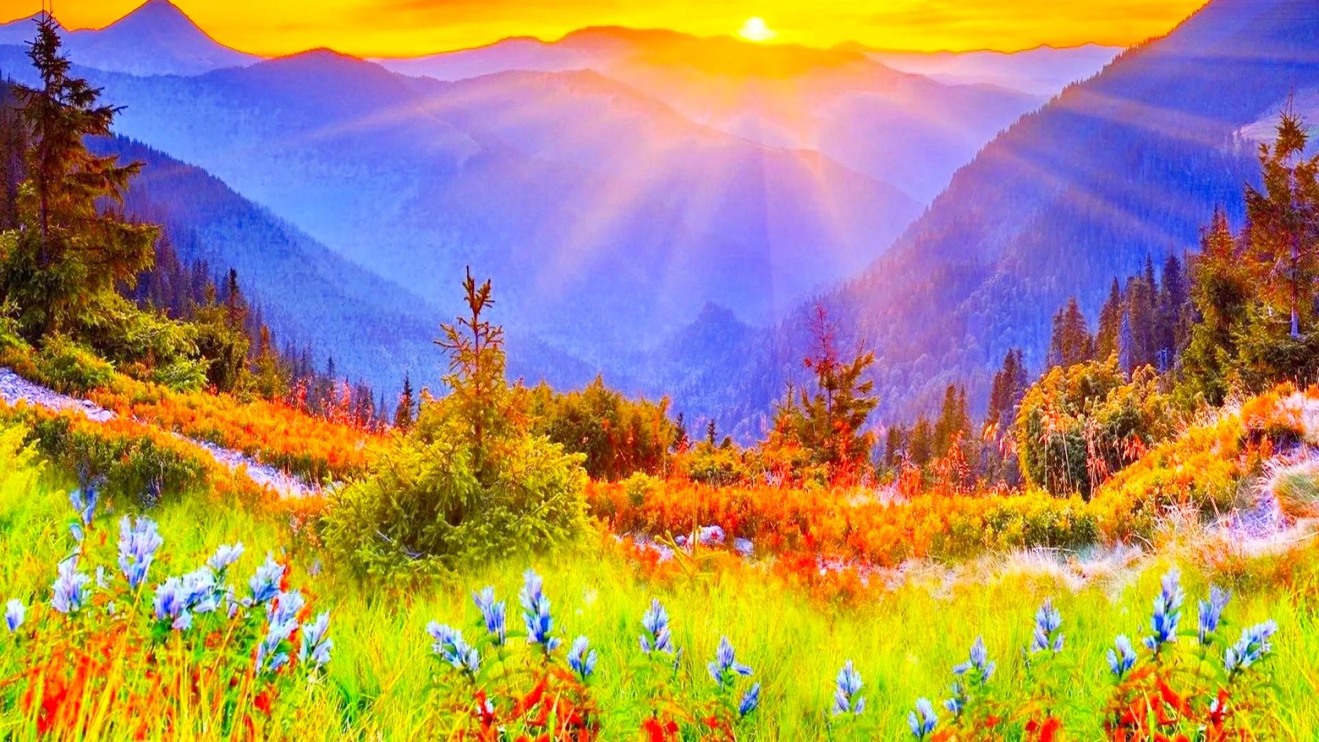 人世间最美好的东西,就是心灵的美好,它是任何美都无法替代的美