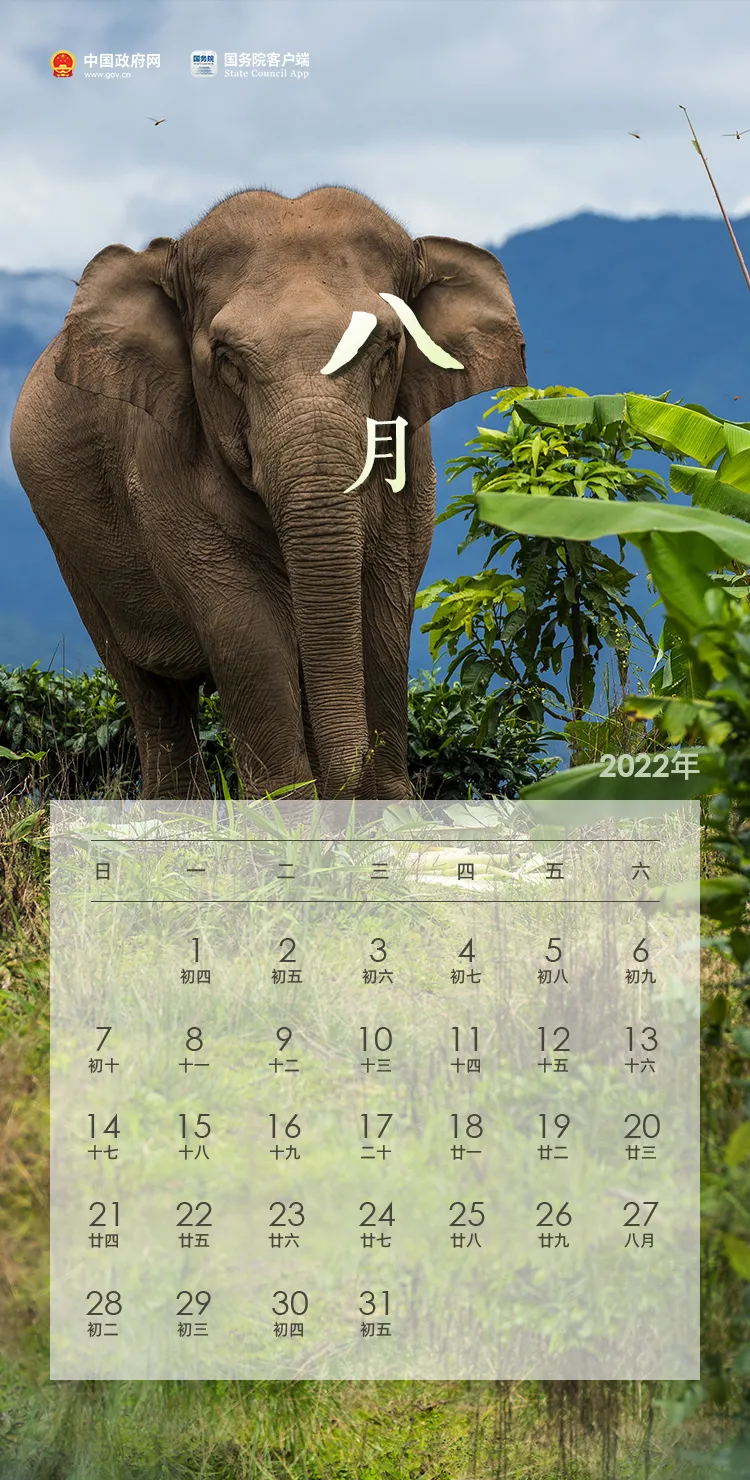 最新！放假通知