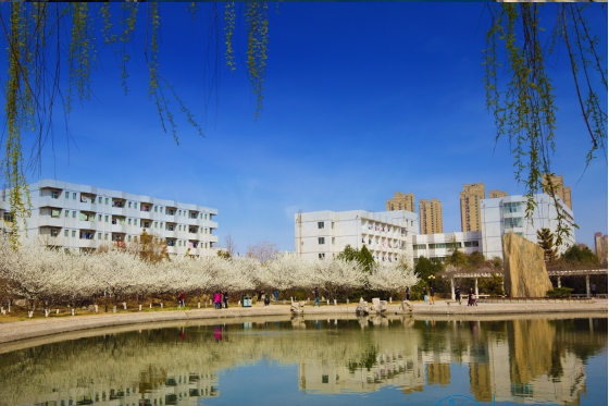 2022年艺术类招生540人，山东理工大学艺术类专业报考难度解析