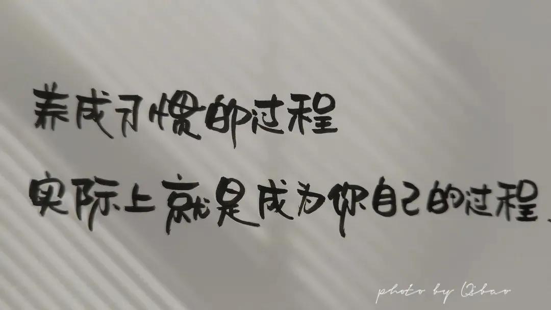 掌控习惯：你是谁不重要，你想成为谁很重要