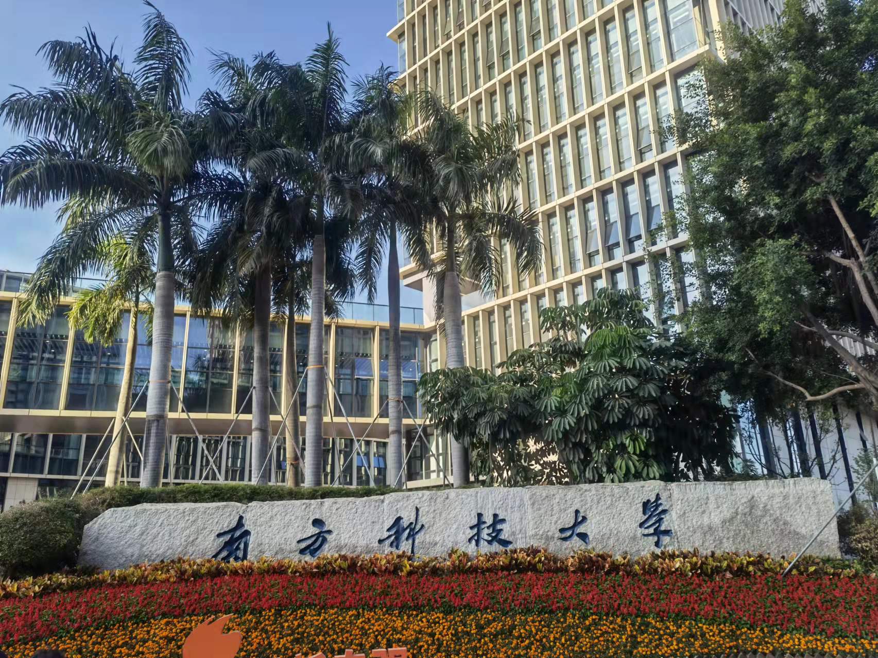 南方科技大学——选了不会后悔