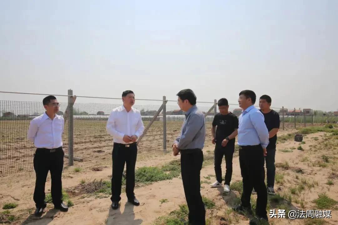澧县如东镇：守住“粮袋子”遏制“非农化”防止“非粮化”