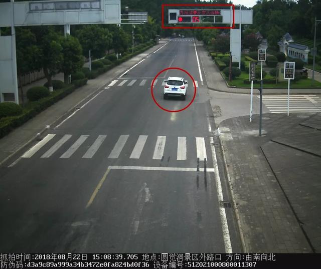 违法代码,违法代码1344是违反了什么