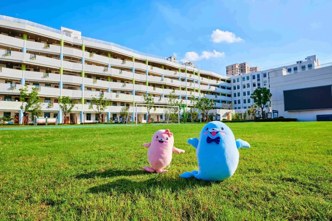 今年大爆发！2022上海11区29所新小学首招