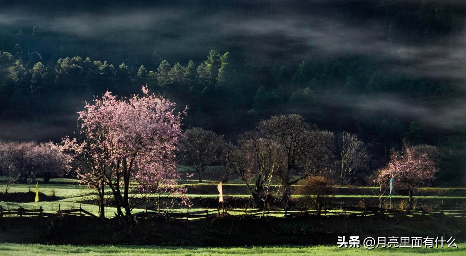 桃花源记优美景色句子