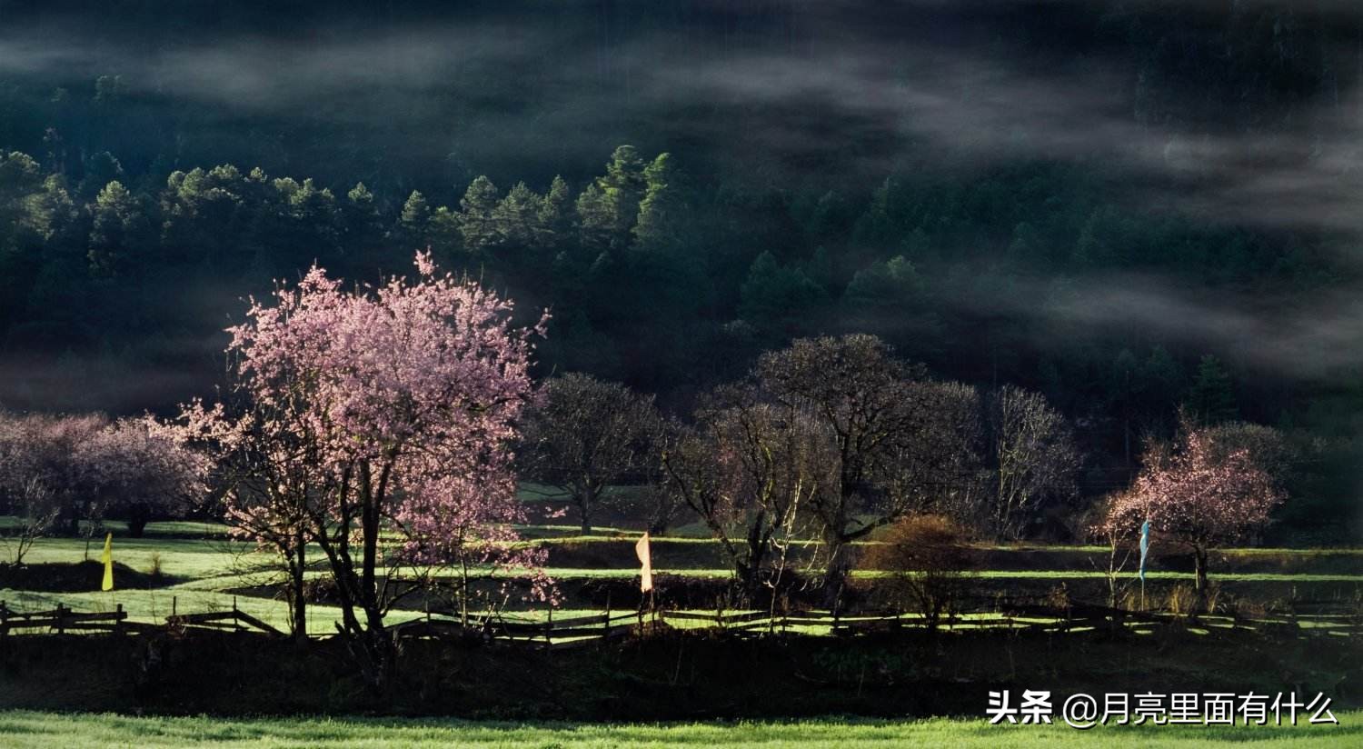 寻找《桃花源记》中的景致，感受阡陌纵横的意境，返璞归真