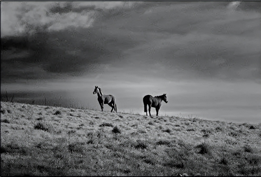2018年“中科院学生谢雕遇害案”遭高中同学捅死原因及动机