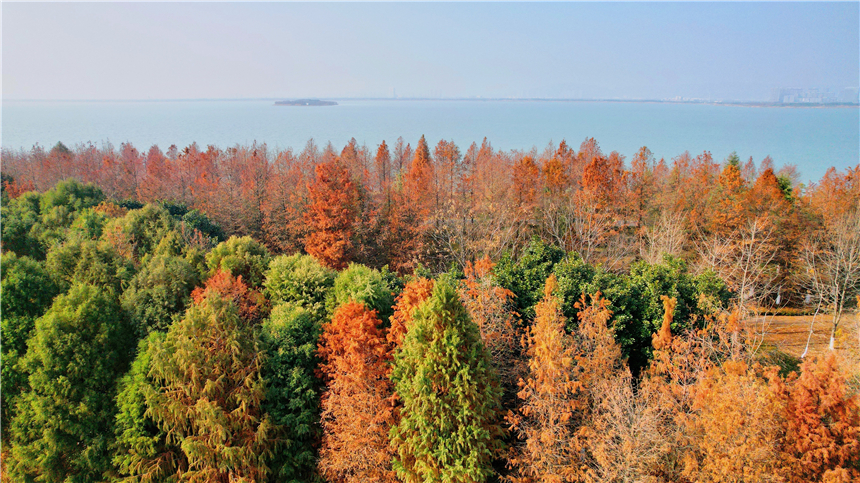 新年旅行，解锁苏州东太湖的13种文艺玩法，喝咖啡逛书店泡温泉