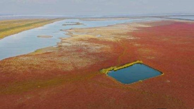 94�������ƺ����ţ���ʱ72Сʱ����ʱװ������޷���ʱ֧Ԯ