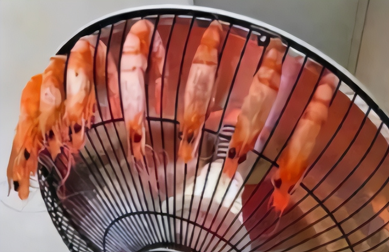 养猫养狗不算啥，大学生寝室“奇葩”违禁品，真是令人大开眼界