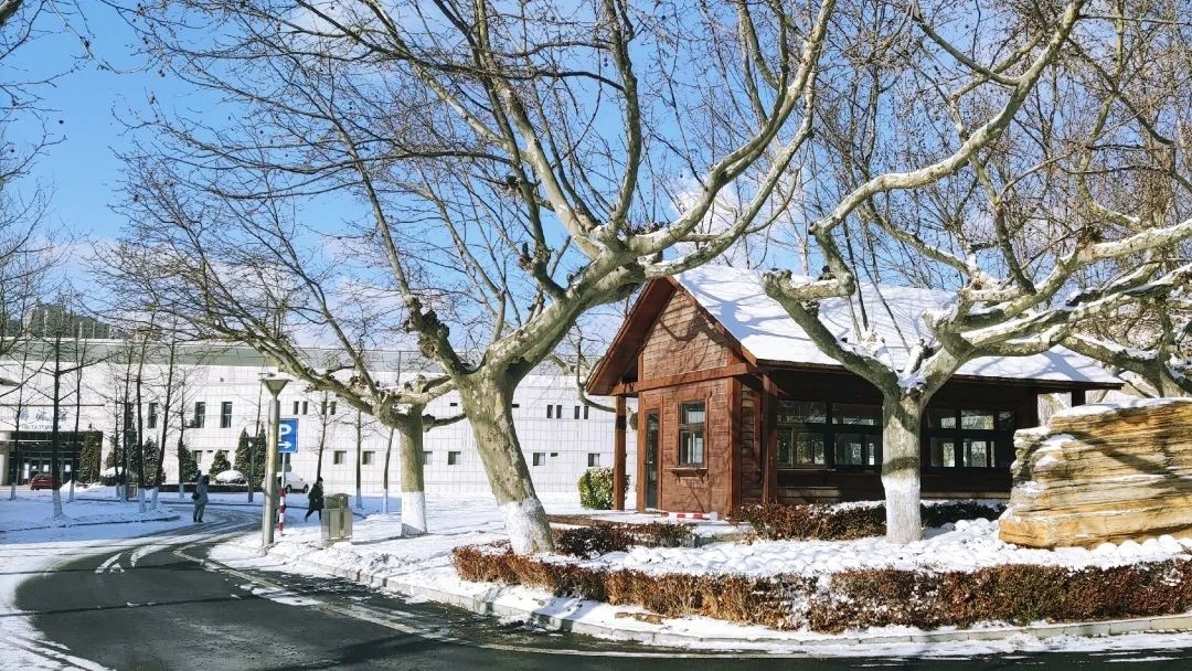 集五湖四海美味，拥四季如画美景！辽宁这所“百年名校”值得报考！