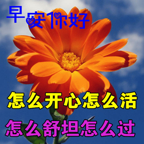 早安祝您安康快乐，愿你如诗，未来可期