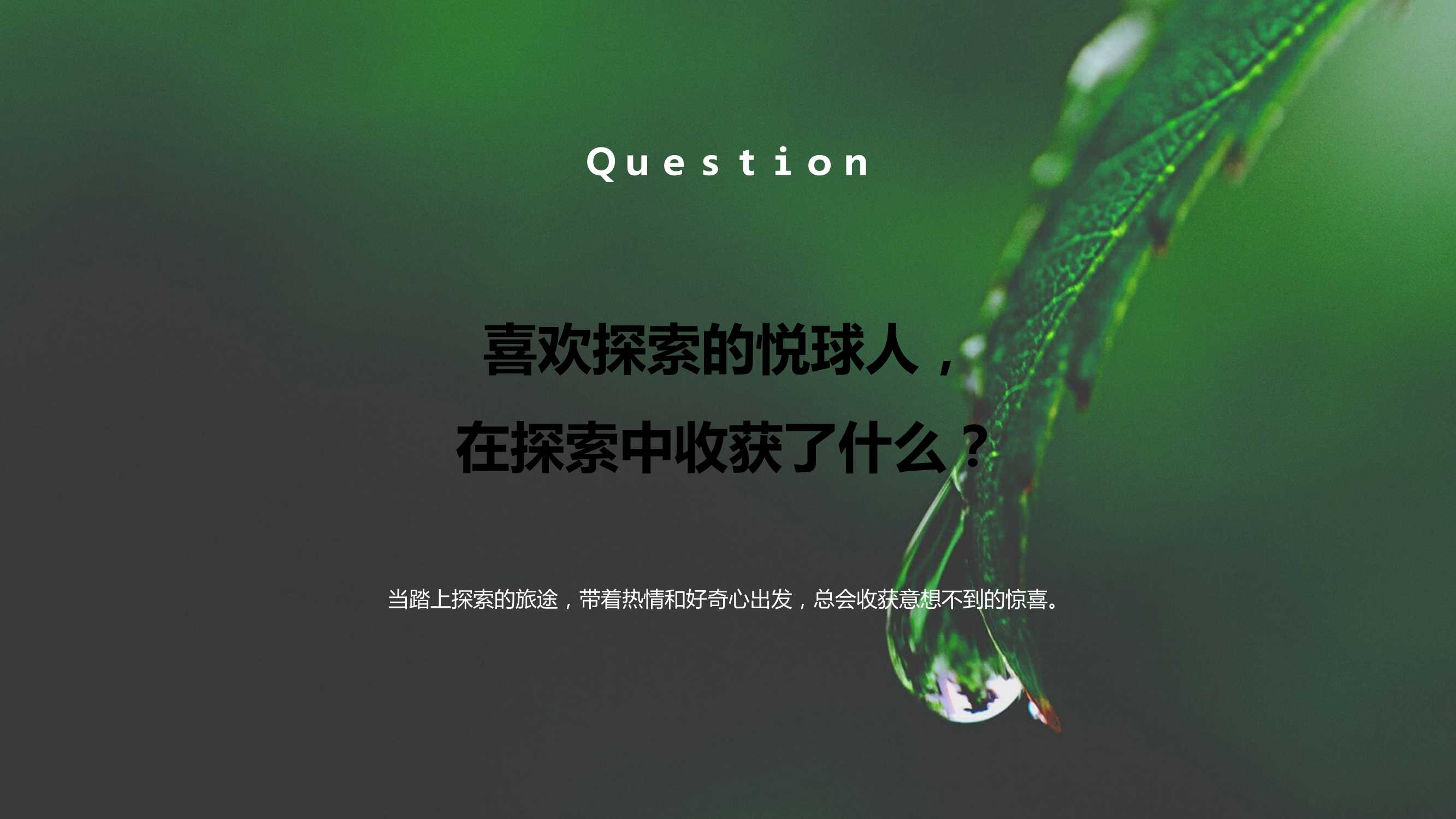 韦博士灵芝焕能精华水品牌传播案「PPT」