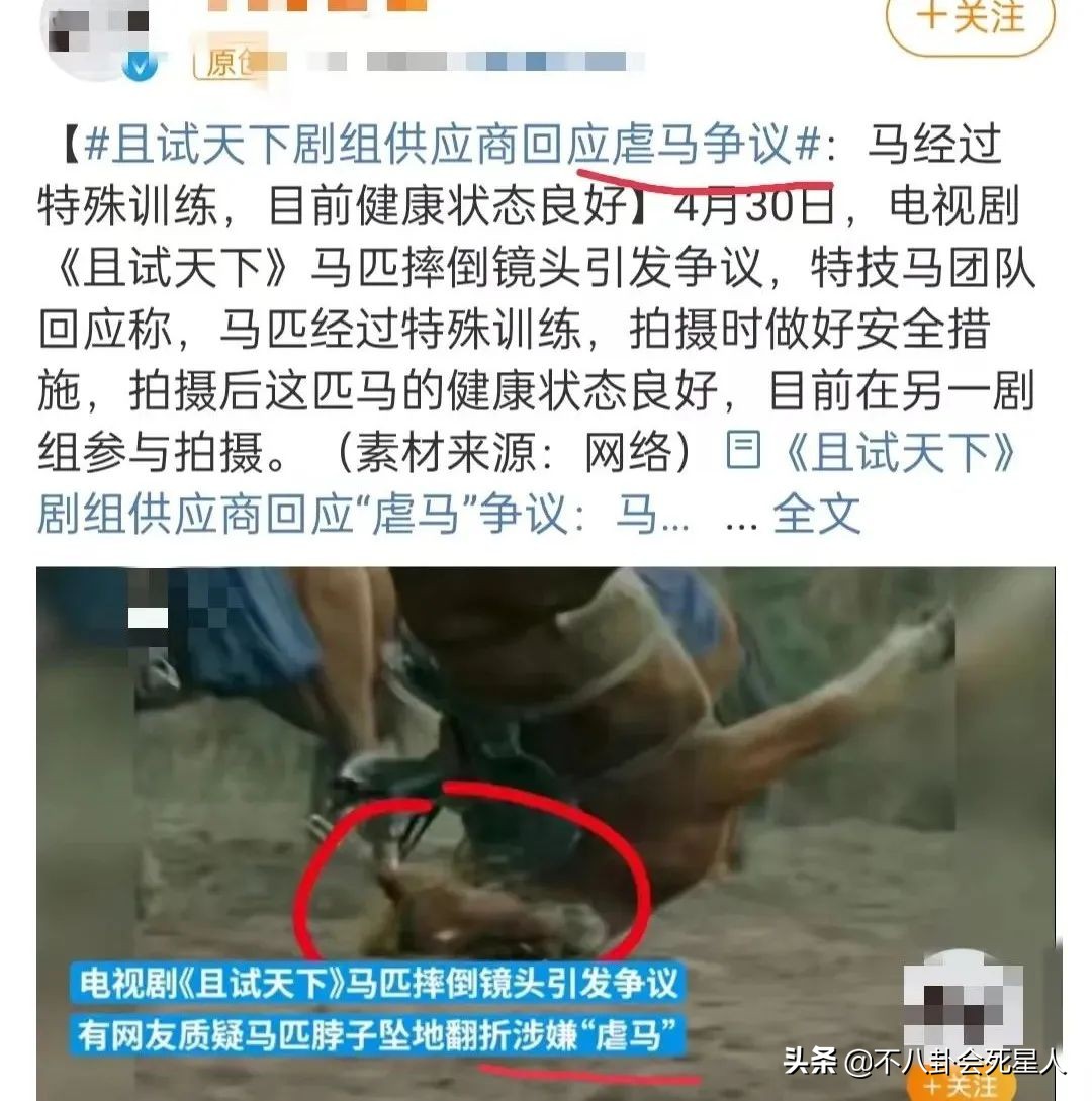 2022上半年热播的十部剧，《梦华录》爆了，《开端》第二
