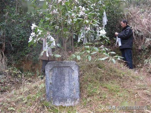 农村人清明扫墓有哪些讲究？尽量做到“三要”和“五不要”