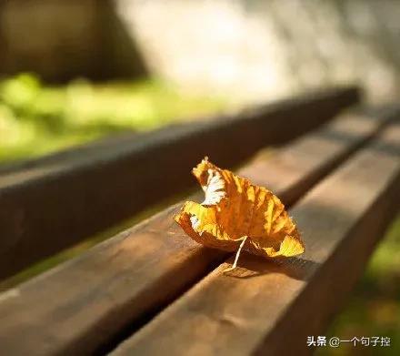 不要浪费时间追忆失去的东西。你得朝前看，因为生命不会走回头路