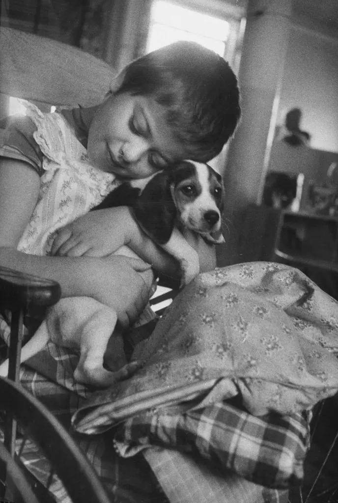 动物让医院充满快乐：小动物帮助孩子康复的经典照片