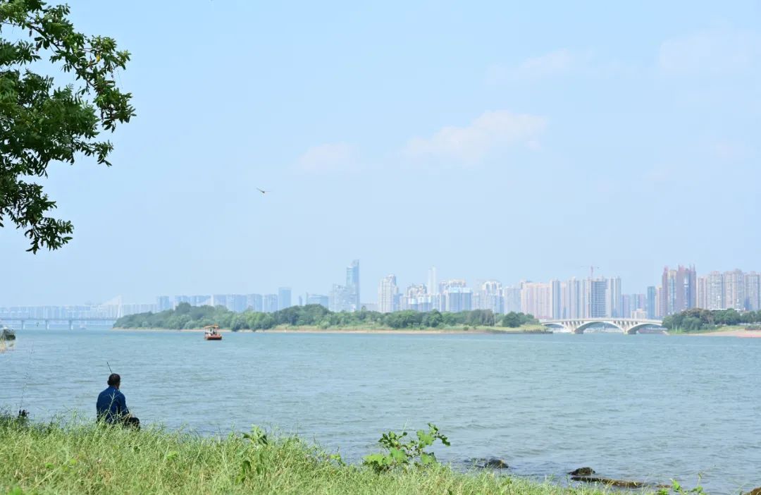 2021北上广青年掀返乡潮：回老家少赚一倍，快乐十倍