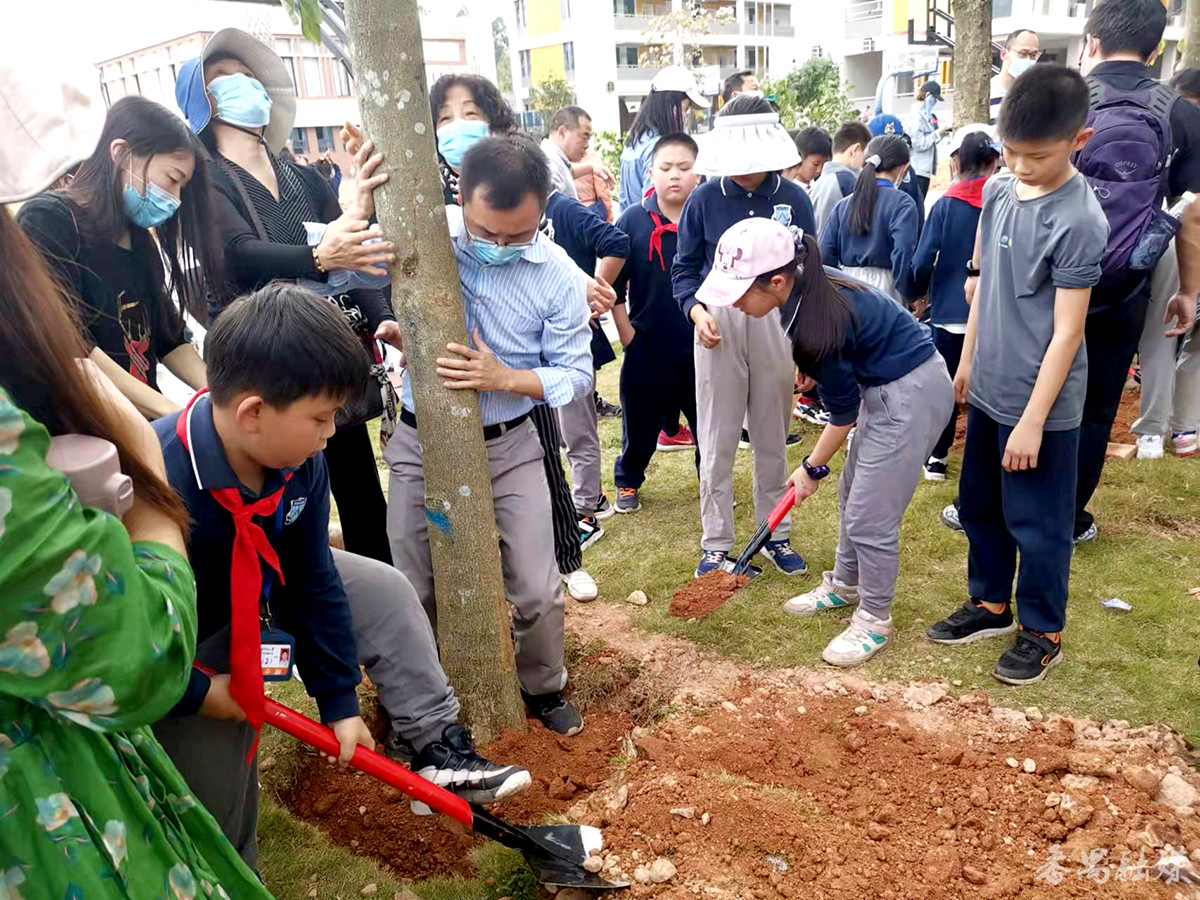 華師附屬大學(xué)城小學(xué)舉行植樹(shù)活動(dòng)(圖2) 華師附屬大學(xué)城小學(xué)舉行植樹(shù)活動(dòng)(圖2)