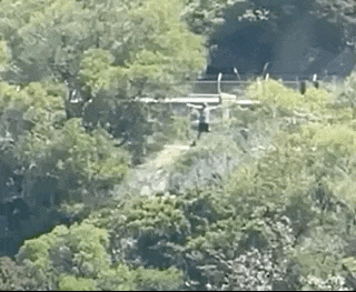 林峯为张馨月庆祝母亲节，与老婆贴脸合影笑容幸福，在线互相示爱