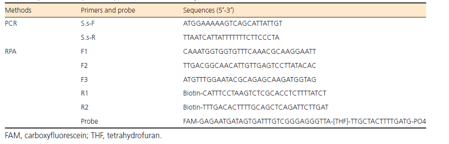 重组酶聚合酶恒温扩增的高致病性2型猪链球菌病原体可视化研究