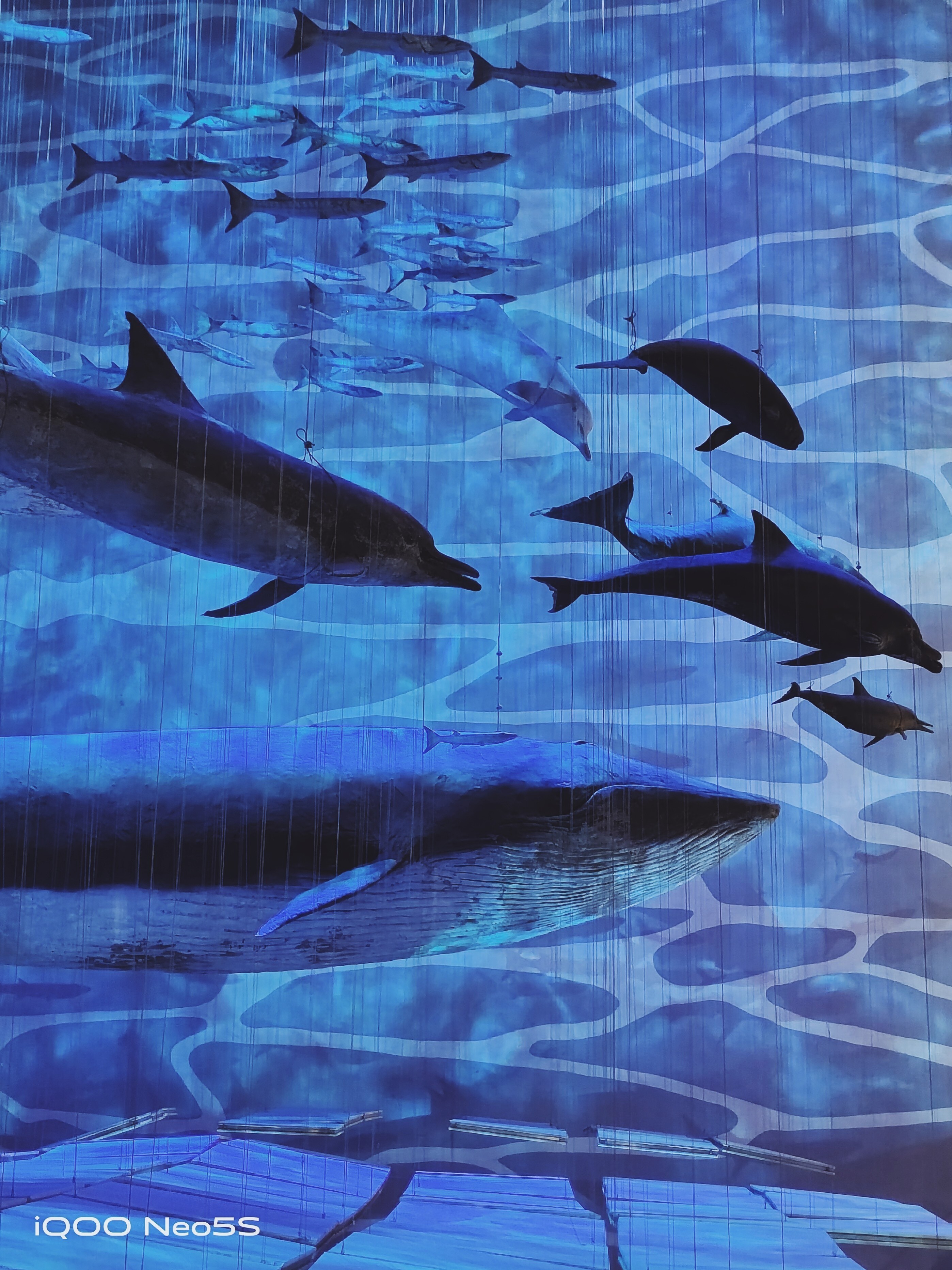 手机选择陷入难题，不妨先来体验一下iQOO Neo5S