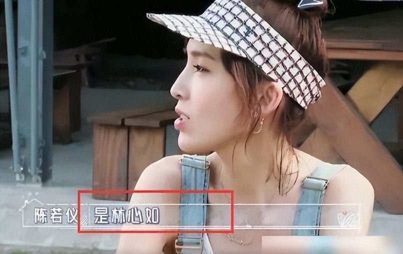 林志颖：妻子被亲妈处处针对却视而不见，如今撒谎成性前途堪忧？