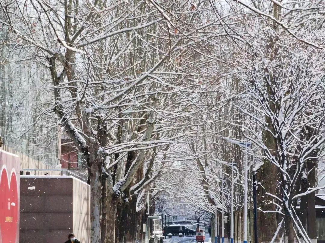 春雪一来，北京就更美了！