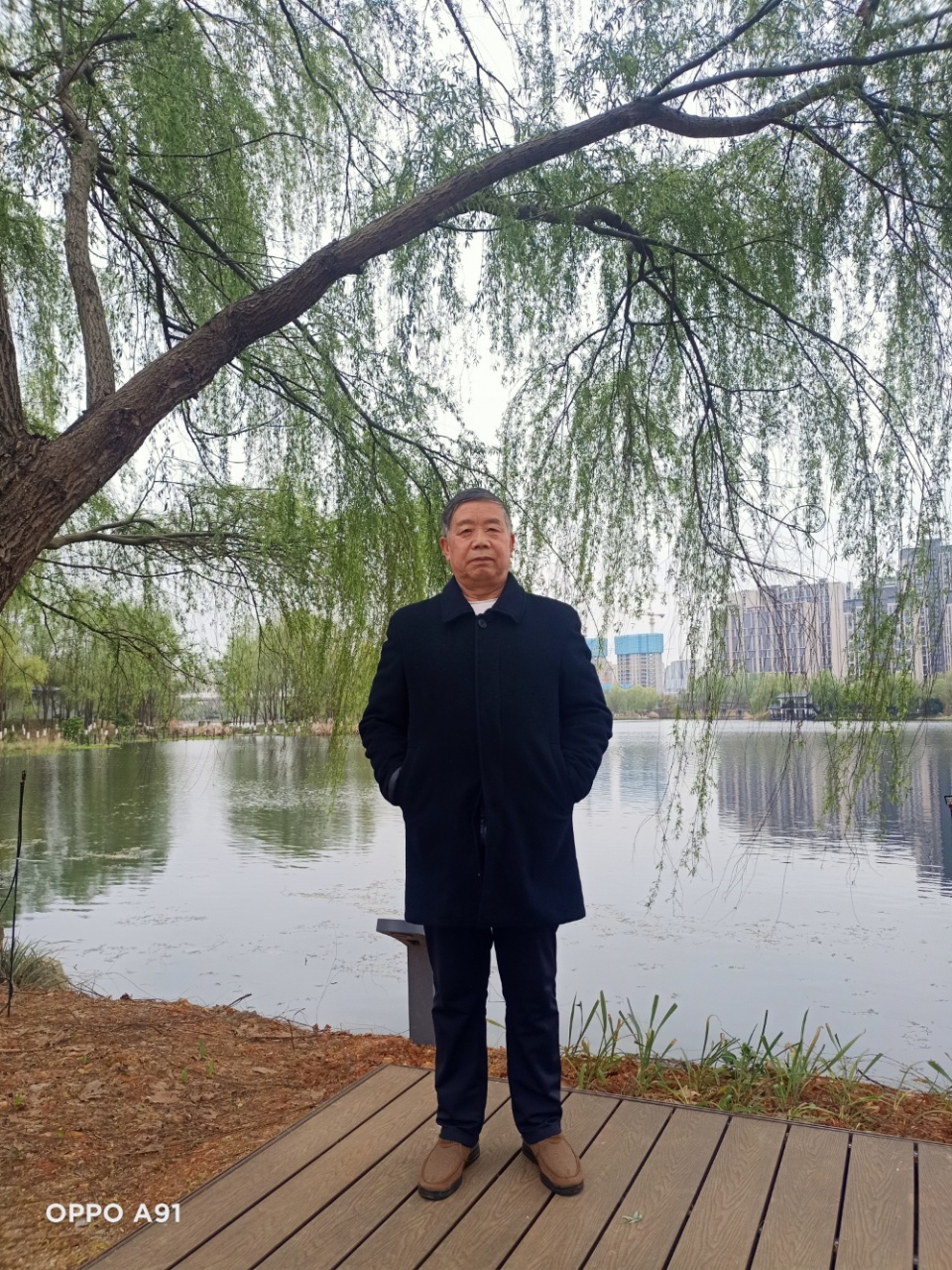 我爱垂杨柳铁 五师/王新明